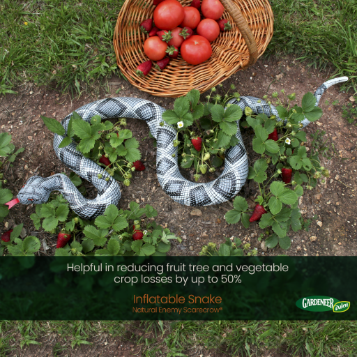 Inflatable Diamondback Snake - 6ft Realistic Natural Enemy Bird Scarecrow