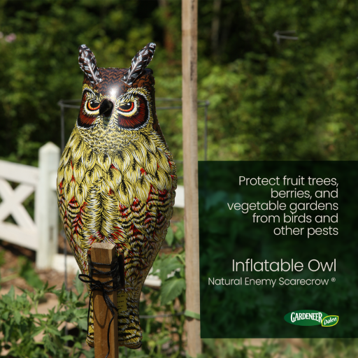 Inflatable Owl - 24" Natural Enemy Scarecrow to Deter Birds