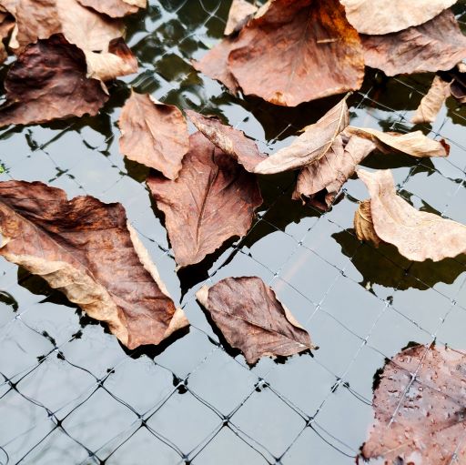 Heavy Duty Pond & Pool Netting - Floating & Reusable - Protect Fish & More