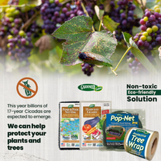 Pop-Net Protective Pest Screen & Anti-Hail Mesh